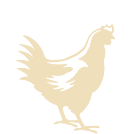 Nyhet