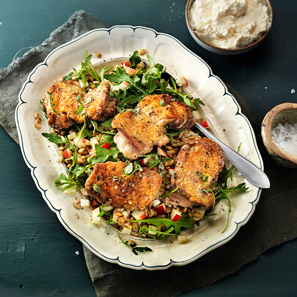 Äppelciderbrässerad-kycklinglårfilé-med-äpple-och-nakenhavresallad,-cheddarcréme